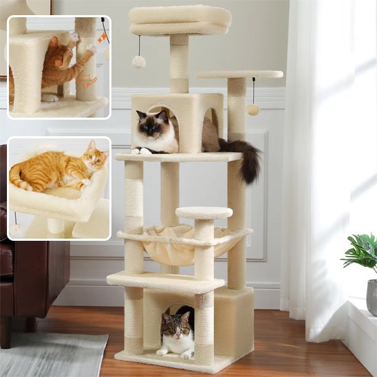 Arbre à chat | Robuste et Confortable - Royaumedechat.com