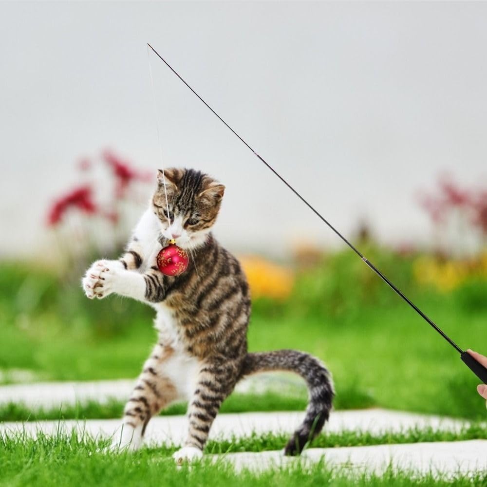 KittyCatch™ - Noir - Royaumedechat.com