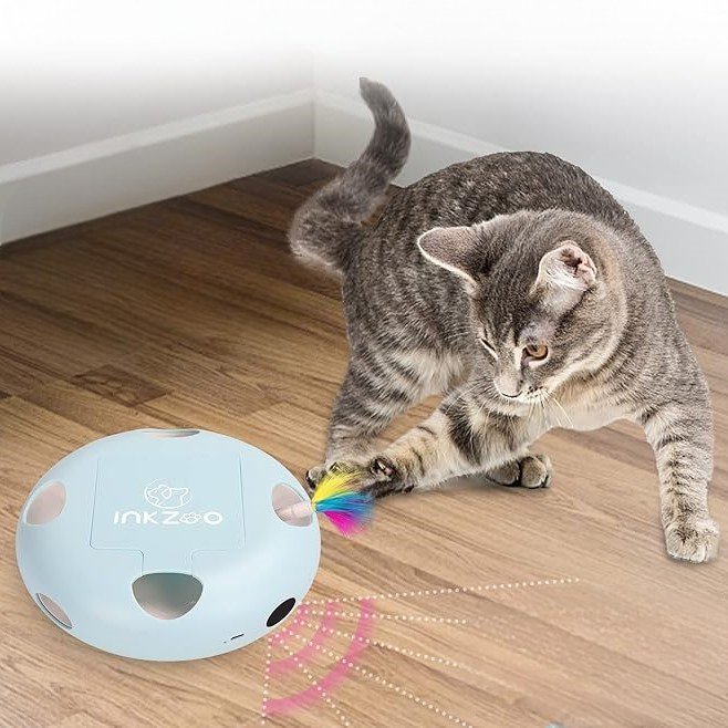 PlumeMagique™ - Bleu - Royaumedechat.com