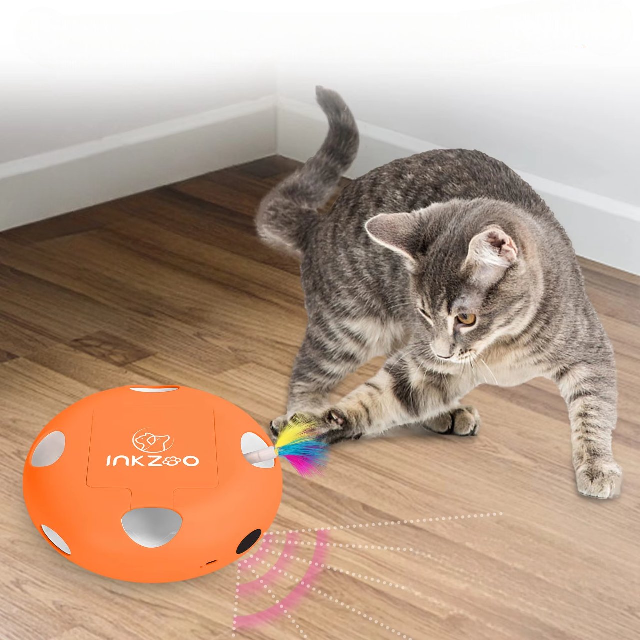 PlumeMagique™ - Orange - Royaumedechat.com