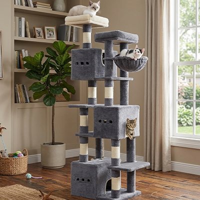 Arbre à Chat | Design Robuste - Royaumedechat.com