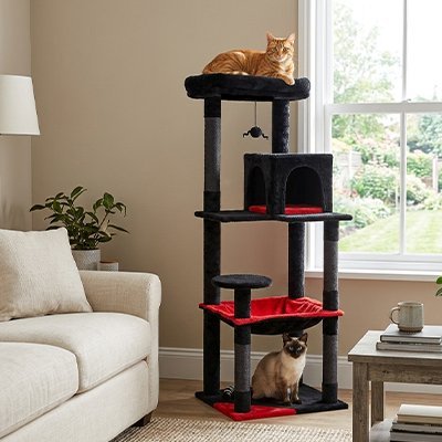 Arbre à Chat | Design Robuste - Royaumedechat.com