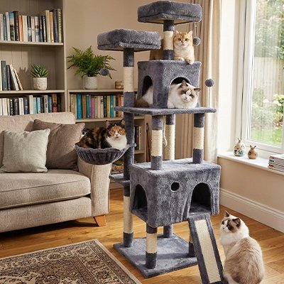 Arbre a Chat émotionnelle
