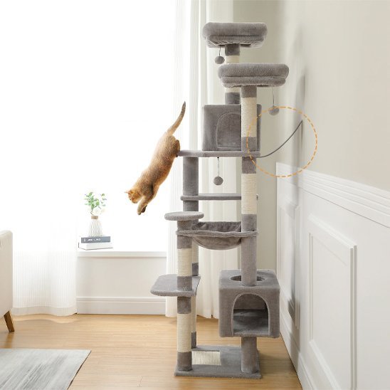 Arbre à chat | Robuste et Confortable - Royaumedechat.com