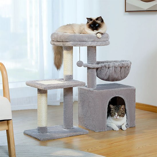 chat couché sur le couchage supérieur et chat tigré et blanc dans la niche d’un petit arbre à chat gris. 