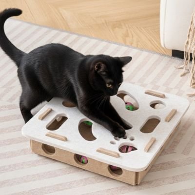  chat noir jouant avec une boîte de jeu carrée à plateau blanc percé d’ouvertures 