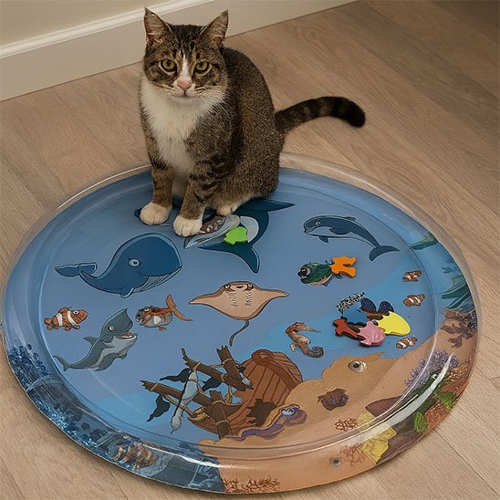  chat tigré et blanc assis sur un tapis de jeu rond bleu avec petits poissons colorés 