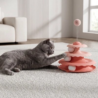 Jouet pour Chat | Interactif Chasseur - Royaumedechat.com