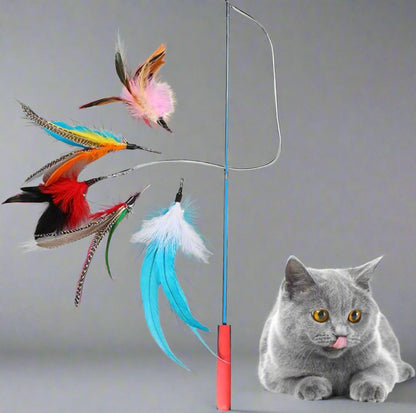 KittyCatch™ - BleuCiel - Royaumedechat.com