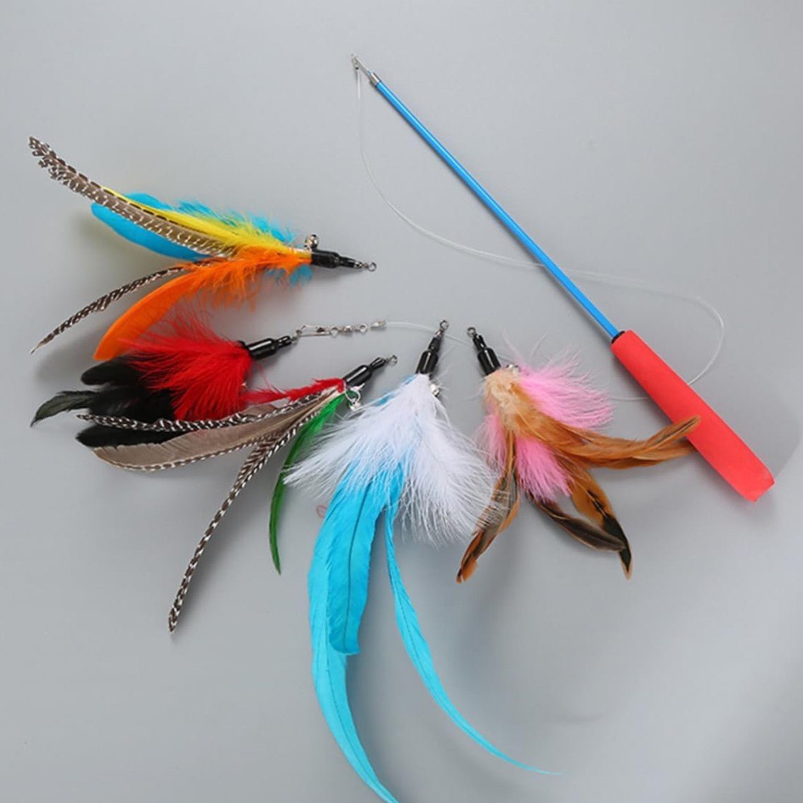 KittyCatch™ - BleuCiel - Royaumedechat.com