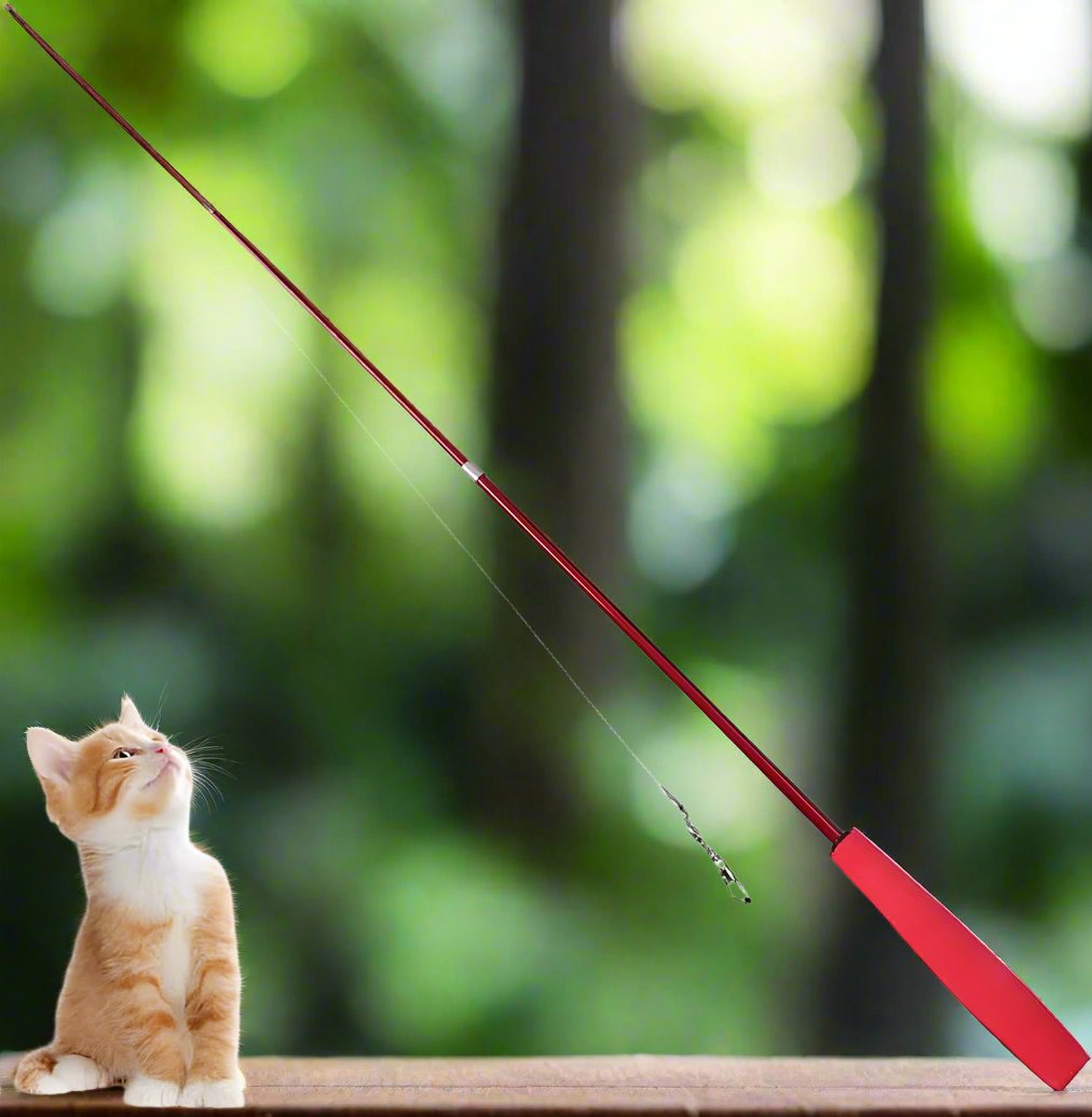 KittyCatch™ - Rouge - Royaumedechat.com