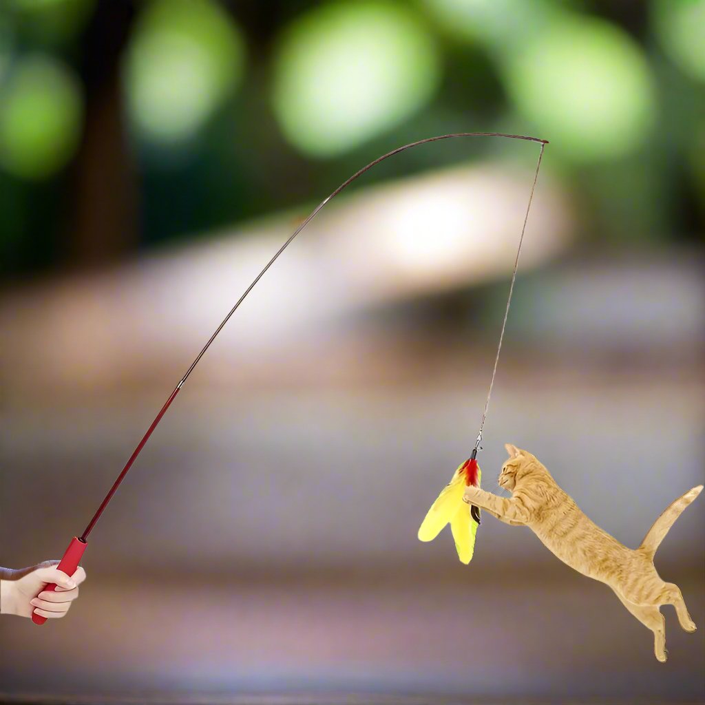 KittyCatch™ - Rouge - Royaumedechat.com