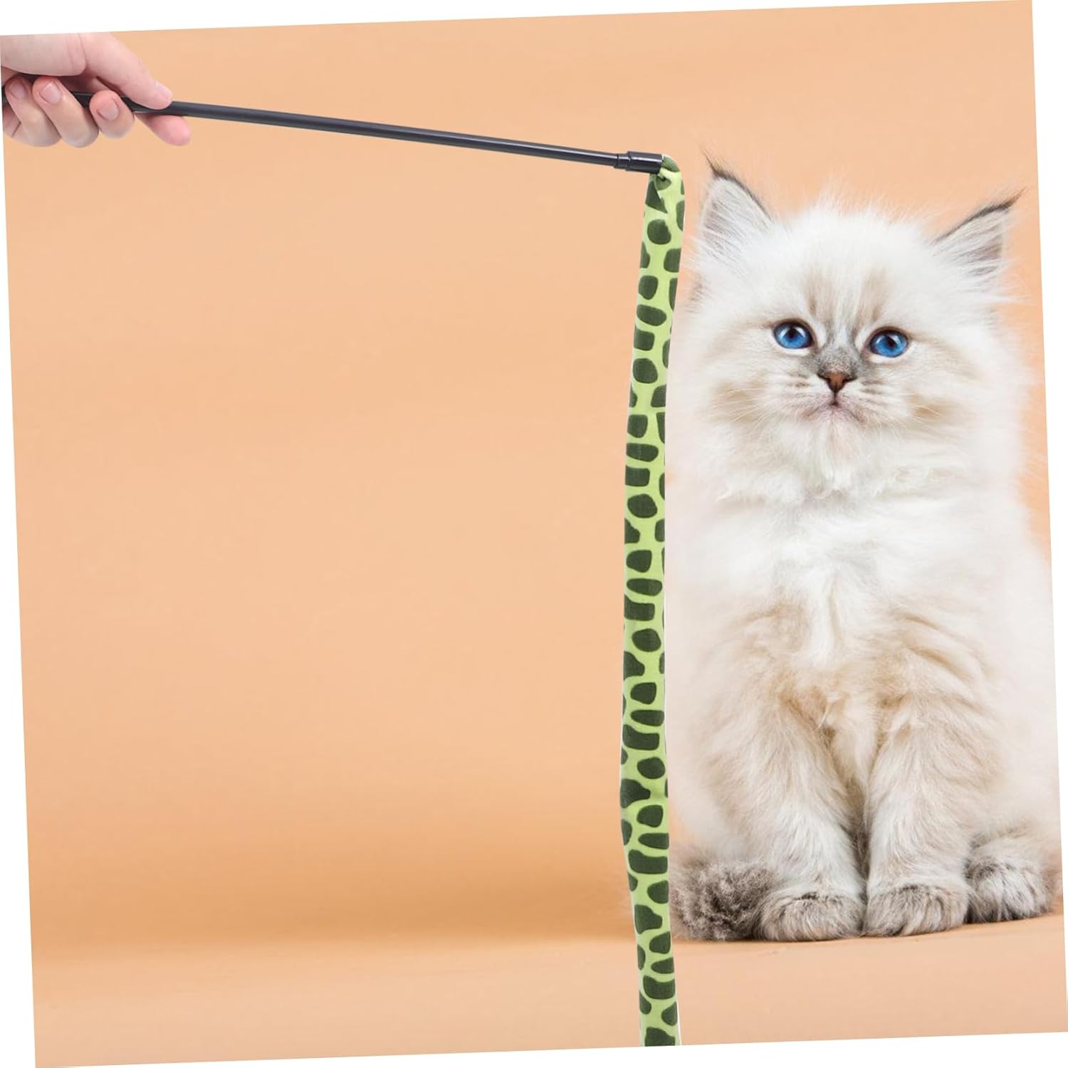 KittyCatch™ - Serpent - Royaumedechat.com