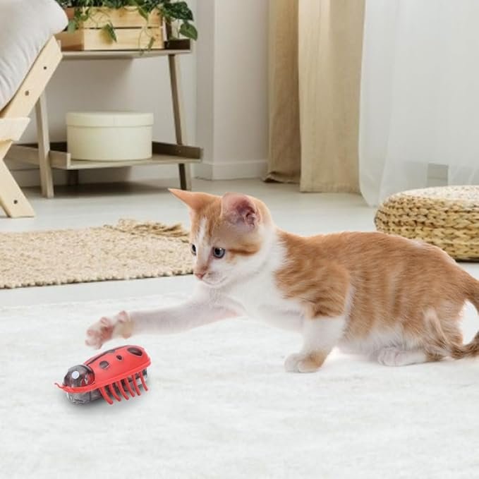 MiniInsecteToy™ - Coccinelles - Royaumedechat.com