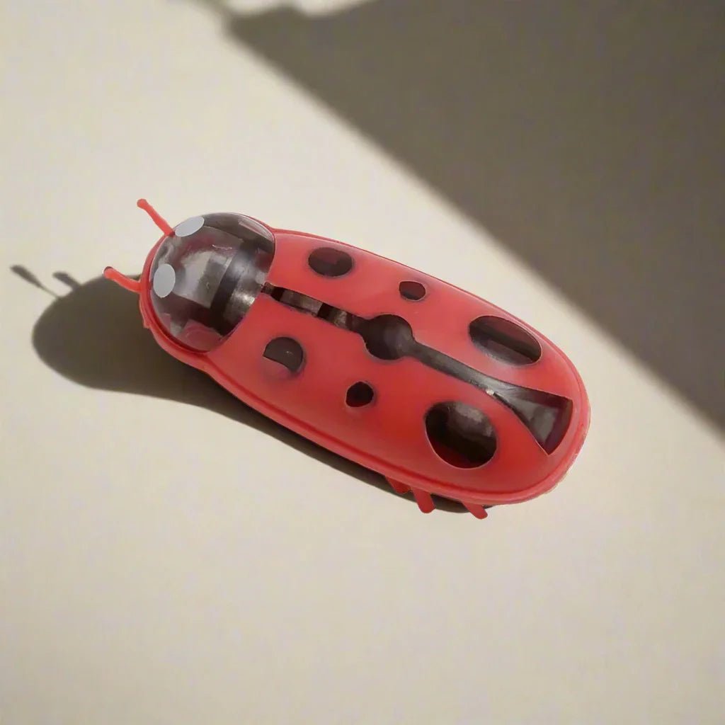 MiniInsecteToy™ - Coccinelles - Royaumedechat.com