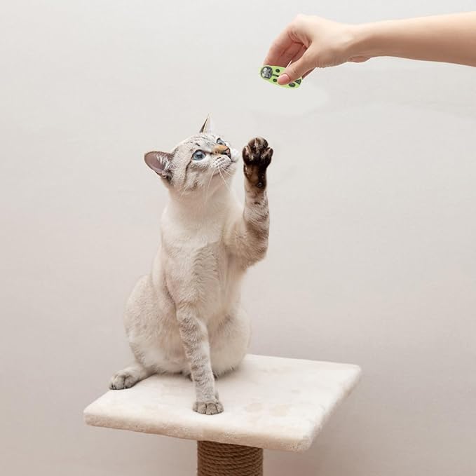 MiniInsecteToy™ - Coccinelles Vertes - Royaumedechat.com