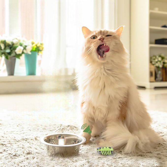 MiniInsecteToy™ - Coccinelles Vertes - Royaumedechat.com