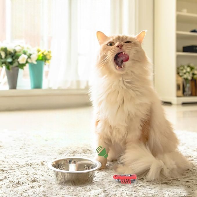 MiniInsecteToy™ - Scarabée Rouge - Royaumedechat.com