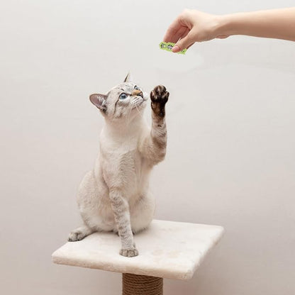 MiniInsecteToy™ - Scarabée Vert - Royaumedechat.com