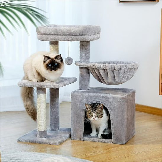 Petit arbre a chat | Compact - Royaumedechat.com