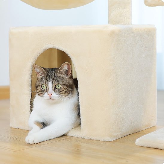 Petit arbre a chat | Compact - Royaumedechat.com