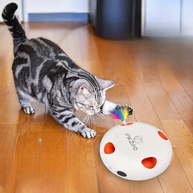 PlumeMagique™ - Blanc - Royaumedechat.com