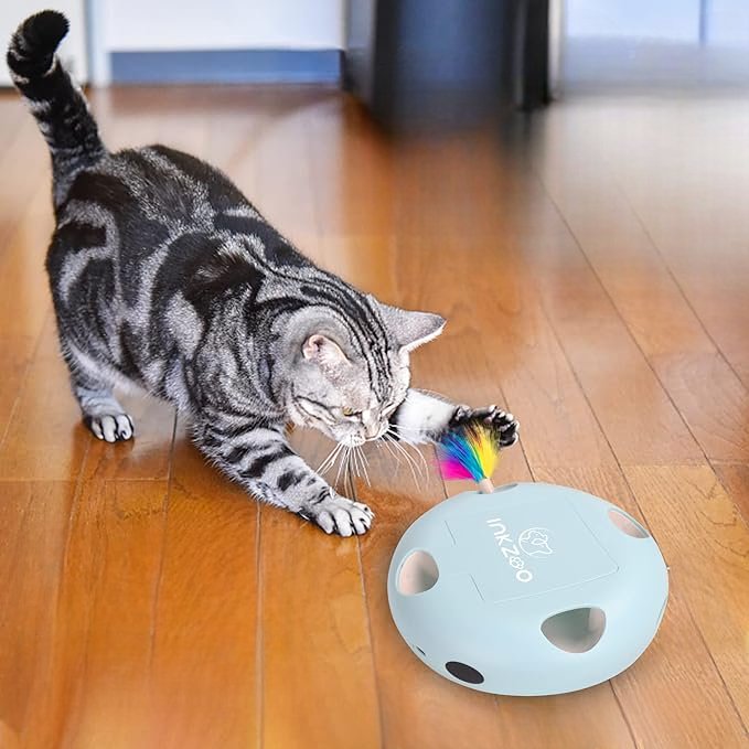 PlumeMagique™ - Bleu - Royaumedechat.com