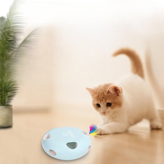 PlumeMagique™ - Bleu - Royaumedechat.com