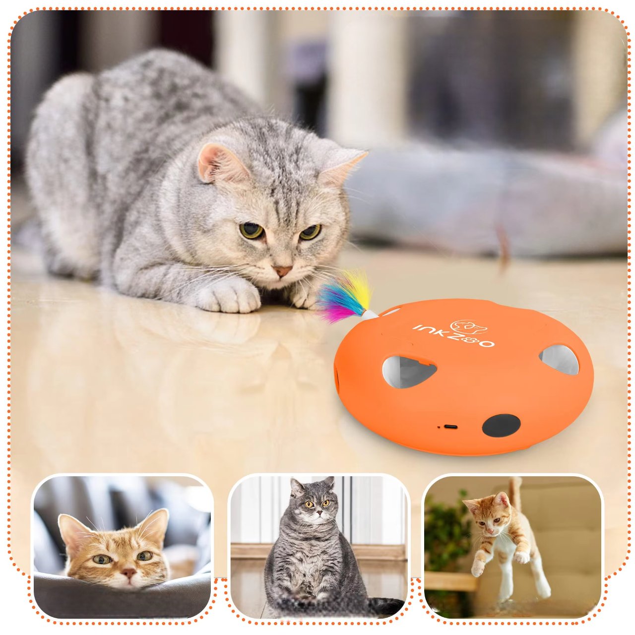 PlumeMagique™ - Orange - Royaumedechat.com