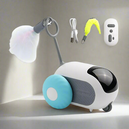 ToyFunCats™ - Bleu - Royaumedechat.com