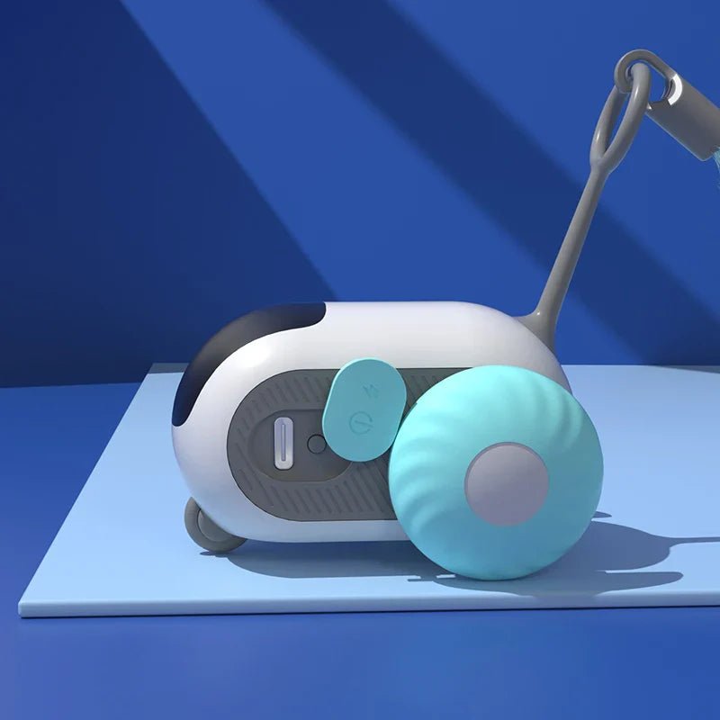 ToyFunCats™ - Bleu - Royaumedechat.com