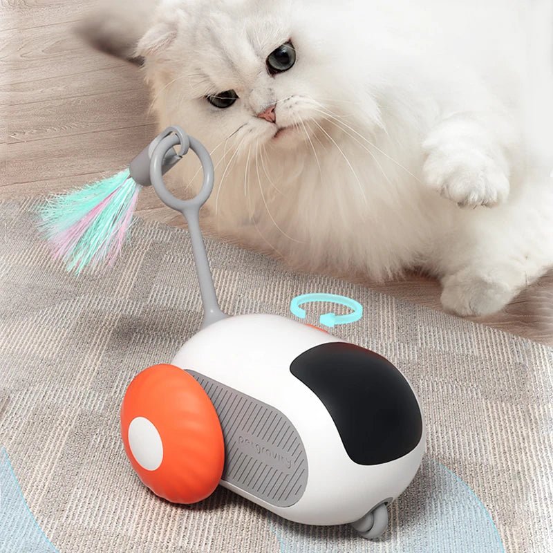 ToyFunCats™ - Orange - Royaumedechat.com
