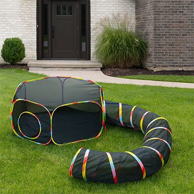 tunnel chat parfaite. - Royaumedechat.com